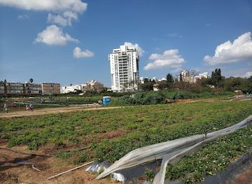 israel/hod-hasharon/attraction/tutland