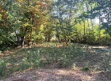 Stiltebos