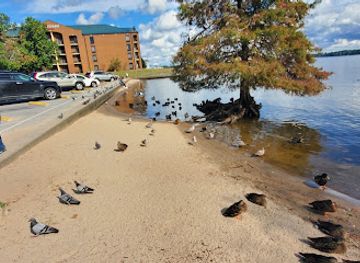 north-carolina/new-bern/attraction/bear-plaza