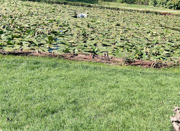 romania/craiova/attraction/ceasul-solar