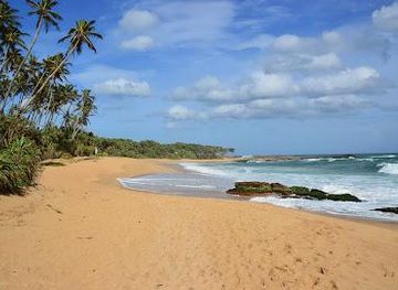 sri-lanka/mirissa/attraction/rekawa-turtle-beach