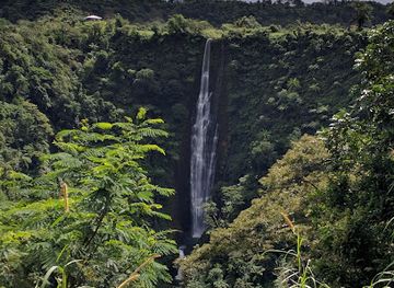 samoa/alofaaga-blowholes/attraction/papapapaitai-falls