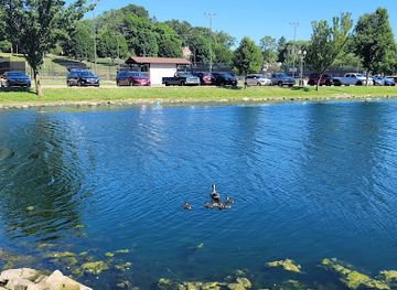 ohio/dundee-falls/attraction/tuscora-park