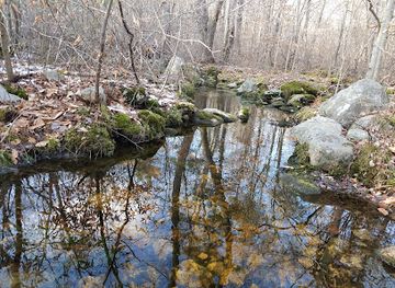 massachusetts/bristol-county/attraction/copicut-woods