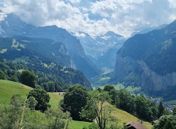 switzerland/jungfrau-region/attraction/wengernalpbahn