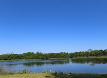netherlands/kennemerland/attraction/castricum-aan-zee-strand