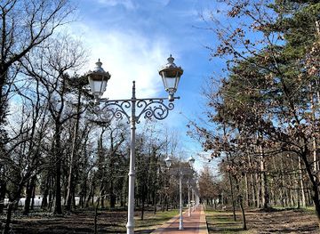 serbia/palic-lake/attraction/alley-of-sighs