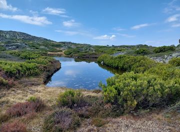 portugal/serra-da-estrela/attraction/turfeira-da-serra