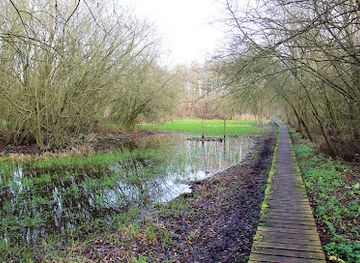 belgium/mechelen/attraction/den-battelaer