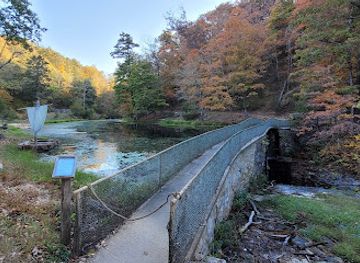 arkansas/ozark-national-forest/attraction/holy-land-tour