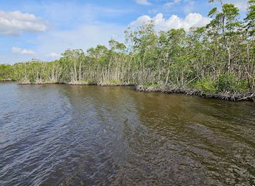 florida/fort-myers/attraction/four-mile-cove-ecological-preserve