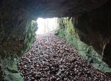 slovakia/zemplinska-sirava/attraction/jaskyna-na-krivostianke