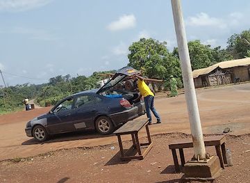 cameroon/dja-faunal-reserve/attraction/carrefour-manpang