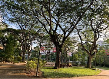 singapore/yishun/attraction/yishun-park