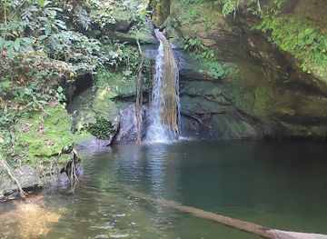 trinidad-and-tobago/mayaro/attraction/maracas-waterfall