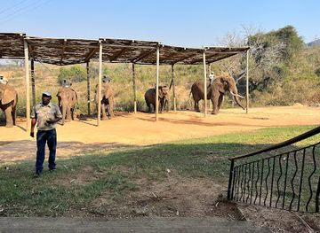 south-africa/bushveld/attraction/elephant-whispers