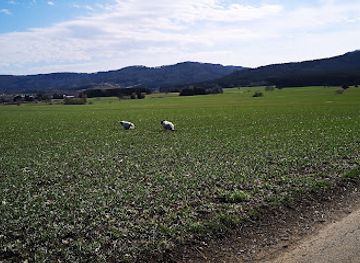 germany/hohenzollern-castle/attraction/feldkreuz-beim-friedhof