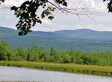 vermont/molly-falls-state-park/attraction/virginia-stranahan-memorial-town-forest