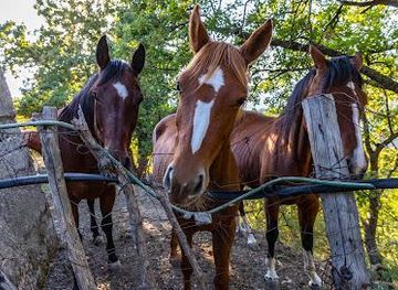 italy/taormina/attraction/montagna-grande
