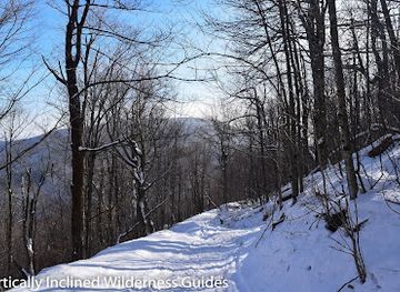 new-york/catskill-mountains/attraction/vly-mountain
