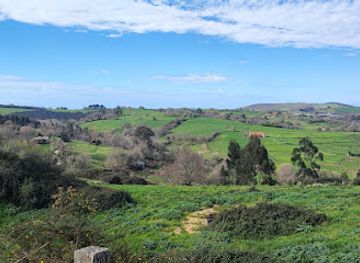 spain/cantabria/attraction/cave-of-altamira
