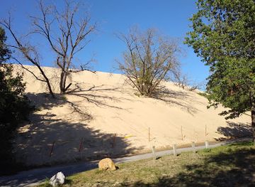 indiana/the-dunes/attraction/indiana-dunes-national-park-mount-baldy