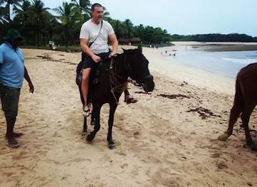 fiji/savusavu/attraction/adventure-iconic-fiji-tours