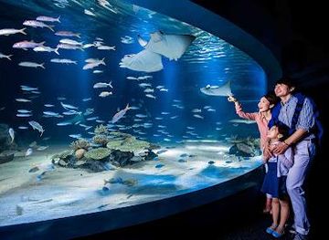 south-korea/suwon/attraction/aqua-planet-63