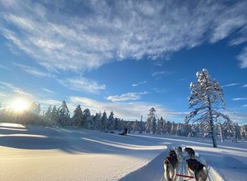 norway/hedmark/attraction/hundekjoring-hedmarksvidda-husky-a-s