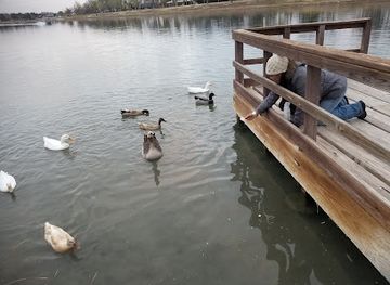 new-mexico/carlsbad-caverns-national-park/attraction/carlsbad-labyrinth-at-riverview-park