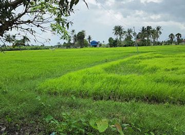 cambodia/kampot-province/attraction/classic-tourist-tours