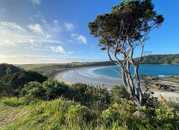 new-zealand/northland/attraction/maitai-bay