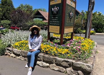 australia/central-west/attraction/bygone-beautys-treasured-teapot-museum-tearooms