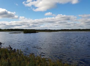 michigan/tawas-point-state-park/attraction/tuttle-marsh-wildlife-area