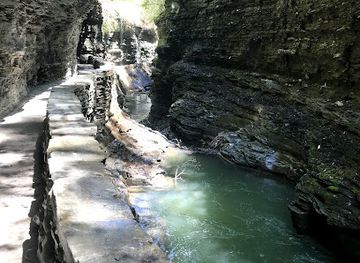 new-york/watkins-glen/attraction/catharine-creek-wildlife-management-area