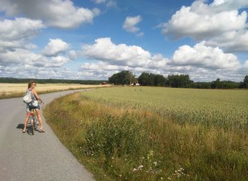 sweden/orebro/attraction/kaviangen