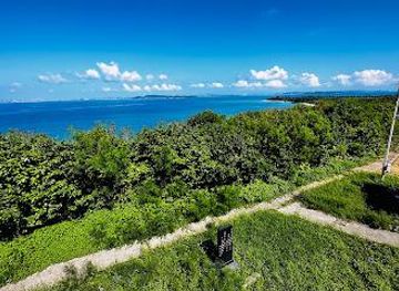 japan/okinawa/attraction/carrot-observatory