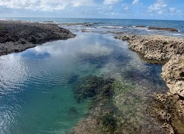 costa-rica/cahuita-national-park/attraction/posas-cahuita