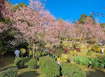 thailand/chiang-mai/attraction/khun-chang-khian