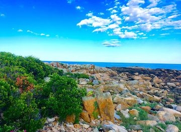 maine/kennebunkport/attraction/stage-island-preserve