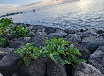 french-polynesia/tahiti-iti/attraction/parc-vaipoopoo