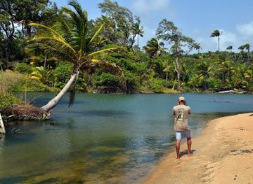 trinidad-and-tobago/mayaro/attraction/orosco-bay