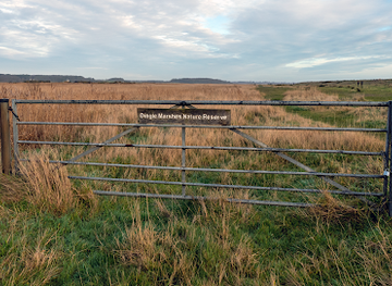united-kingdom/southwold/attraction/rspb-dingle-marshes