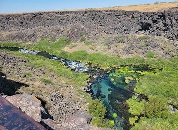 idaho/twin-falls/attraction/box-canyon-springs-preserve