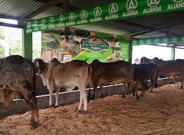 honduras/colon-region/attraction/hacienda-colon