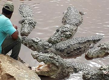 pakistan/lasbela/attraction/mangopeer-garam-chashma