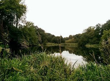 united-kingdom/staffordshire/attraction/jackson-s-coppice-marsh
