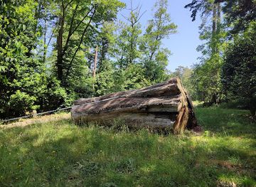 portugal/serra-de-sintra/attraction/tronco-do-eucalipto