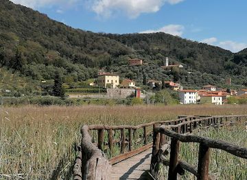 italy/versilia/attraction/lipu-massaciuccoli