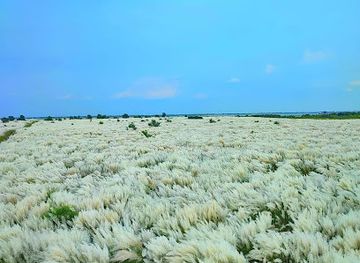 bangladesh/western-bengal/attraction/vatibandar-kashful-area